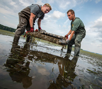 Civil engineering student Tyler Miesse (left) works with Celso Ferreira, associate professor in civil, environmental, and infrastructure engineering, on research that focuses on how vegetation in coastal marshes can protect communities from waves and flooding.