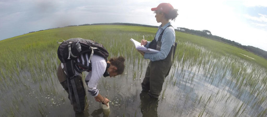 Mason engineers collect data in the Chesapeake Bay