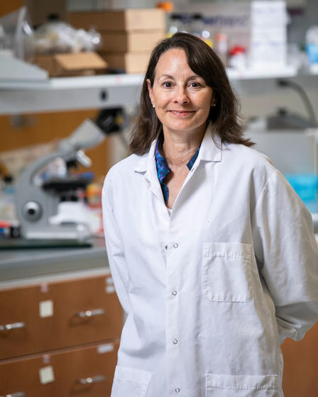 Caroline Hoemann wears a lab coat and stands in her bioengineering lab for a photo.